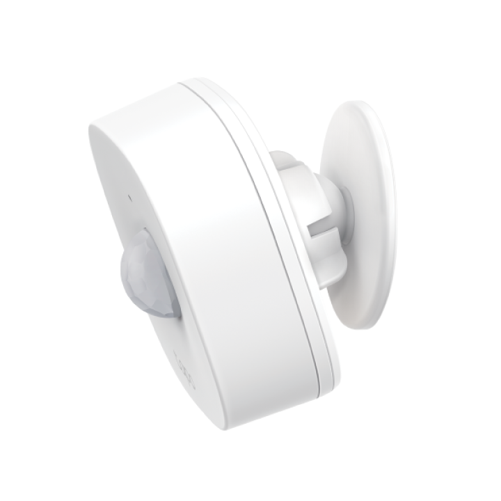 Motion Sensor Detail 1